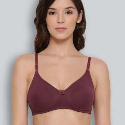 Lyra Brown Cotton T-Shirt Bra-picture-40