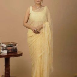 Geroo Jaipur Beige Chiffon Hand Embroidered Sequins Jaal Saree-picture-31