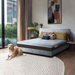 Sleepyhead Laxe Grey Foam 100% Natural Pincore Latex Mattress-image-86
