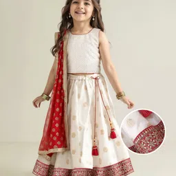 Babyhug Sleeveless Embrodered Choli with Brocade Lehenga and Dupatta - Off White & Red-picture-19