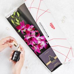 Captivating Charm - Blooms And Perfume-image-70