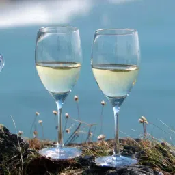 Dartington 'Master' Transparent Glass 18.4 cm Wine Glass - Set of 2-image-5