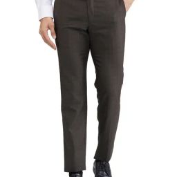 Raymond Brown Slim Fit Checks Trousers-picture-31
