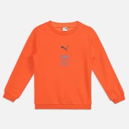 Puma Boys Flame Flicker Cotton Printed Full Sleeves Sweatshirts-image-93