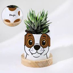Personalized Puppy Ceramic Planter With Haworthia Plant-image-5