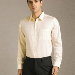 Louis Philippe Beige Cotton Slim Fit Texture Shirt-picture-27