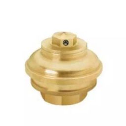 DRP 2.5 Inch Bronze Terrace Valve Screwed-image-33
