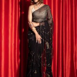 Geroo Jaipur Black Hand Embroidered Tube Jaal Chiffon Saree-picture-40