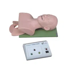 A-ONE SCIENCE Skin Color PVC Electronic Trachea Intubation Model AOSBM214-image-52