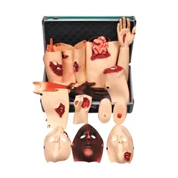 A-ONE SCIENCE PVC Advanced Trauma Evaluation Module AOSBM291-picture-37