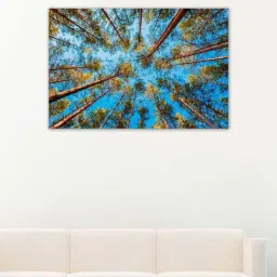 999store Blue & Brown Looking Up In Spring Pine Forest Canvas Painting-46
