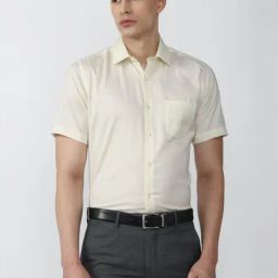 Van Heusen Beige Cotton Regular Fit Shirt-image-85