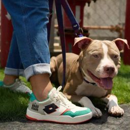 Lotto Women's Leggenda Hoop Star OG Multicolor Sneakers-image-37