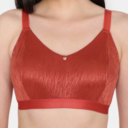 Zivame Rust Lace Full Coverage Double Layered Non-Wired Bra image 4
