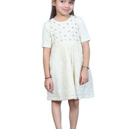 EthIndia Embellished Net A-Line Dress-picture-16