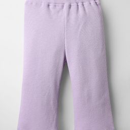 Little Kangaroos Cotton Knit Full Length Solid Color Leggings - Lilac-picture-33