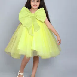 Pink Chick Fit & Flare Dress-image-33