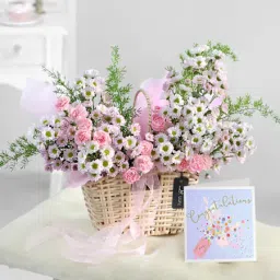 Seeds of Inspiration-image-10
