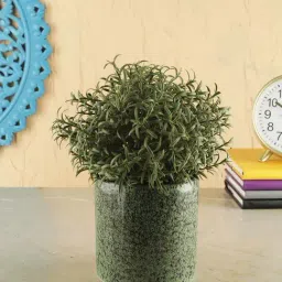 VarEesha Foliage Green Ceramic Planter Pot - Set of 1-17