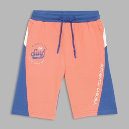 Blue Giraffe Boys Colourblocked Shorts-image-67