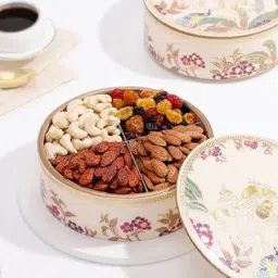 Nutritious Bites Dry Fruits Box-image-20