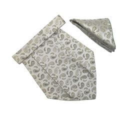 VOICI Paisley Design Cravats & Pocket Square Combo-image-8