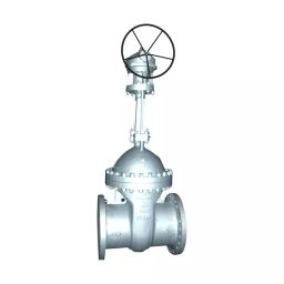 Leader 6 Inch, 150 mm Cast Carbon Steel Wheel Operated Gate Valve CCS 044-image-47