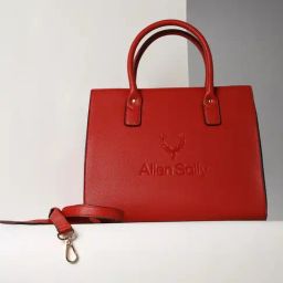 Allen Solly Red Solid Handbag-35