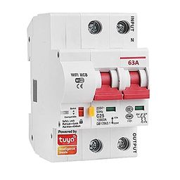 Protium PC Short Circuit Protection Wifi Circuit Breaker/Smart Switch-overload for Smart Home Work with Smart Life App (40A) image 1