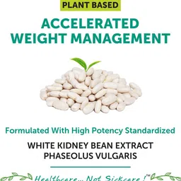 Bliss Welness Set Of 2 Plant Based Carb Controller Capsules - 60 Capsules Each image 4