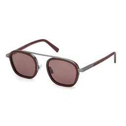 Ermenegildo Zegna Men Brown Lens & Brown Browline Sunglasses-picture-44