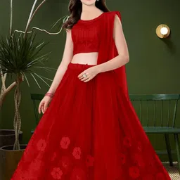 F Plus Fashion Pink Net Lehenga Choli-picture-20