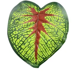 Go Hooked Artificial Plant With Complimentary Pot image 5