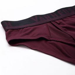 van heusen innerwear Van Heusen Men Swift Dry 4 Way Stretch Air Briefs- IHIBR1SDP30011 image 4