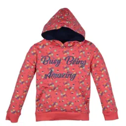 Plum Tree Kids Coral Embellished Hoodies-image-44