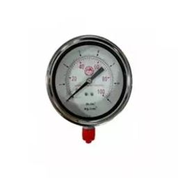 Bellestone 4 Inch 0-300 PSI Stainless Steel 304 Pressure Gauge-image-19