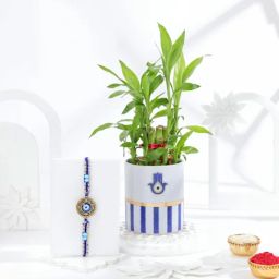 Lucky Greens And Protection Rakhi Combo-image-74