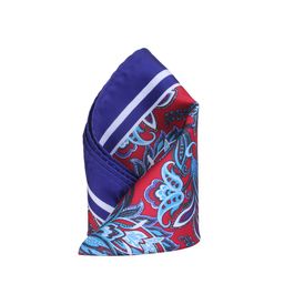Alvaro Castagnino Blue & Red Printed Pocket Square-image-76
