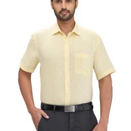 Park Avenue Yellow Linen Regular Fit Shirt-image-128