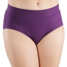 SHAPYFIT Full Coverage High Rise Hipster Brief HR1_P1-3XL-PRL-image-73