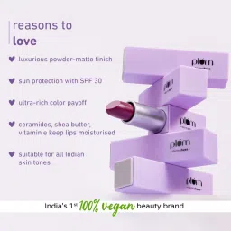 Plum Velvet Haze Matte Lipstick 11 Addictive Almond - 4.2 gm image 4