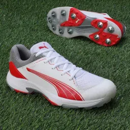 Puma Men's Spike 24.1 White Cricket Shoes-image-28