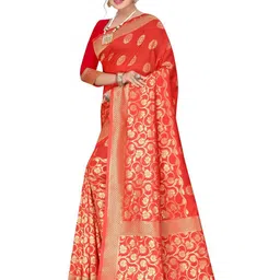 Tulip Eden Woven Design Zari Banarasi Saree-picture-42