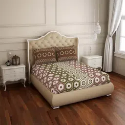Spaces Atrium Brown Cotton 144 TC Bed Sheet Set-image-82