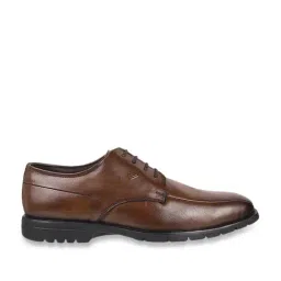 Da Vinchi by Metro Men's Brown Shoe Lace-up-image-48