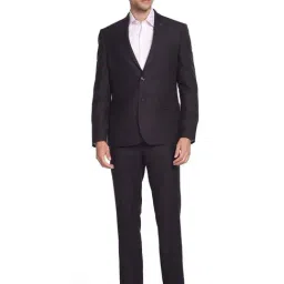 Arrow Wine Regular Fit Self Pattern Two Piece Suit-picture-49