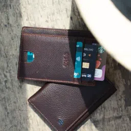 Eske Brown Solid Free Size Card Holder-image-3
