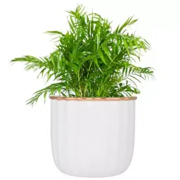ORILEY Metal Flower Pot Heavy Duty Planter 11 x 12 cm White-image-67