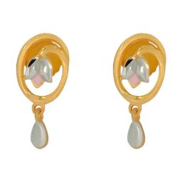 Bhima Jewels 22k (916) Yellow Gold Earrings for Women-picture-42