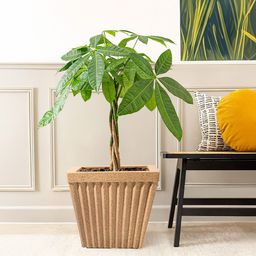 Kuber Industries 2Pcs Brown Textured Roto Mould Pihu Splash Flower Planters-image-25
